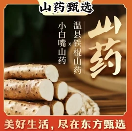 山药及其制品;其他药食同源;块茎类
