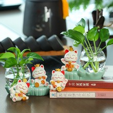 蕊杰可爱招财猫水培花瓶办公室绿萝水养花器插花器皿桌面摆件装饰