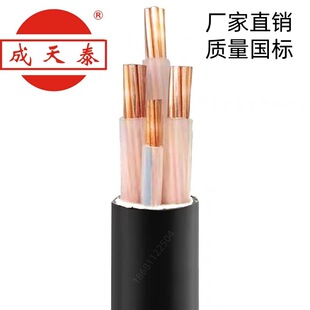 ̩늾|ZC-YJV22-3*16+1*10mm2zb|ȼ~о|