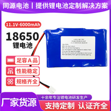 18650�늳�6000mAh�������{���������ܼҾ�11.1V�ɳ���늳ؽM