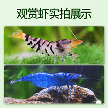 �ښ��r�~��ˮ���坍���幤���^�p���r������w��ϵ�ˮ���쾰