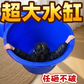 保鲜盒、饭盒;收纳篮/筐;洗米筛