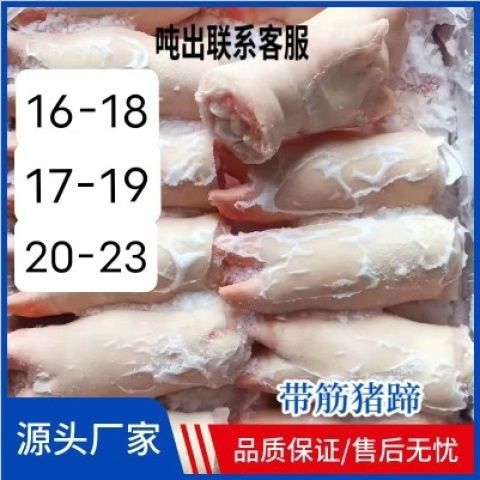 前蹄带筋生猪蹄冷冻猪爪大猪蹄子国产猪手带骨卤菜食材一整箱新鲜
