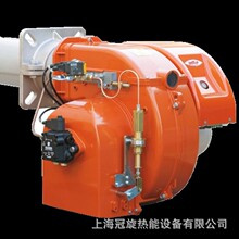 ���������BALTUR�ٵ�ȼ���Cȼ��ȼ����BTG12