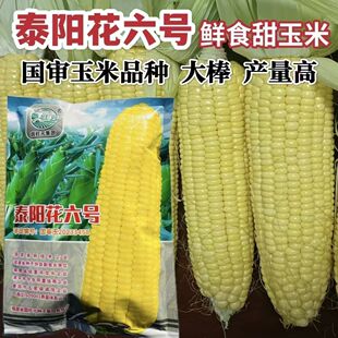 ̩ꖻ�6̖ˮ������̫ꖻ���Ʒ������̩ϵ���rʳ�߮a���׷N��