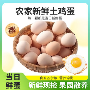 ���� 50ö�b�r��ɢ�B���u���r�u�� �F��F�l����ʳ���r�aƷȫ��