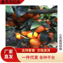 ��Ƥ������Կ�ʳ�Î��������l؛�����̨�������Ә����ϱ����Nֲ