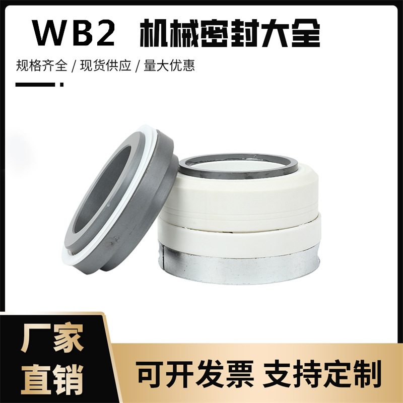 四氟化工泵机械密封WB2/125系列/30/35/40单台双台阶碳化硅耐酸碱
