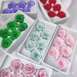 永生花;鲜花花艺制品;干花