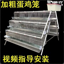 加粗鸡笼单层双层蛋鸡笼子养殖场鸡笼养殖笼三层家用自动滚蛋鸡笼