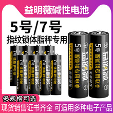 ����ޱ���ָ�y�i5̖늳�LR6 AA����I�P�w֬��7̖�|��늳�AAA