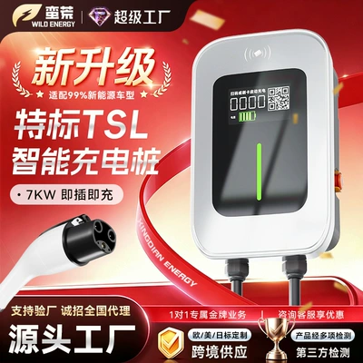 Specialized New Energy Vehicle Charging Station 7Kw Ac Charging Station 32A Stable Output Tsl Home Charging Station