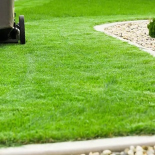 ��ƺ���ѷN���ļ�����G�����X�ݺ����ݸ���é�o�¹������ݷN��