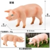HZJM096 domestic pig