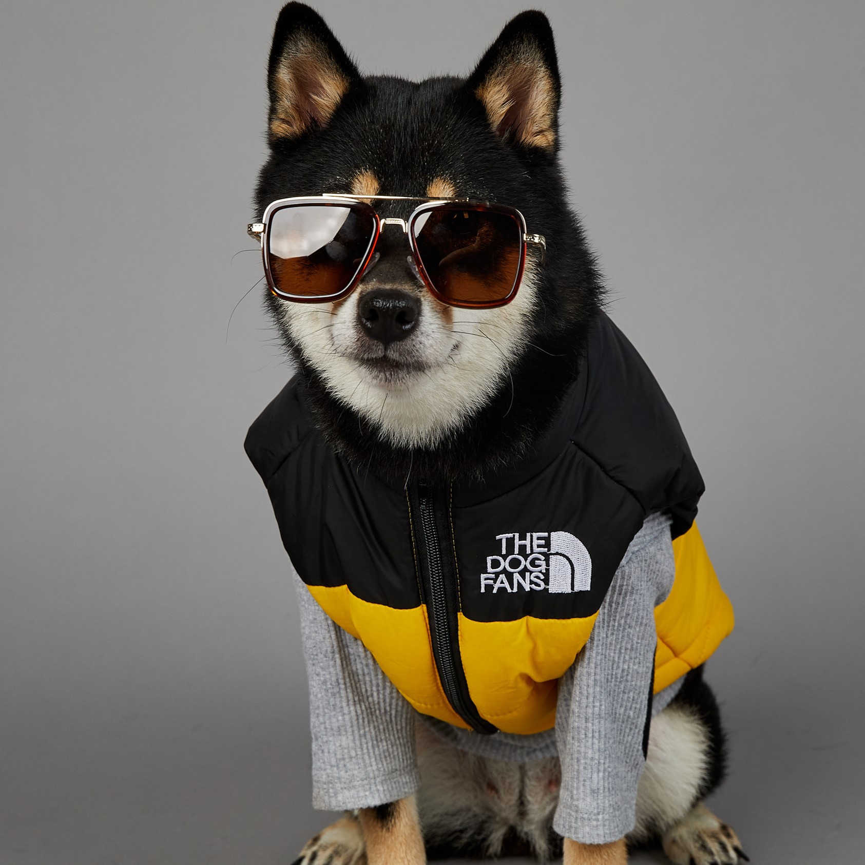 Marca de moda americana perro cara a prueba de viento perro a prueba de lluvia perro grande invierno Cálido impermeable perro mascota chaqueta acolchada de algodón