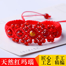 2025���걾����t�K���ʮ����Ф���߻����i���t����ֹ�������Ů