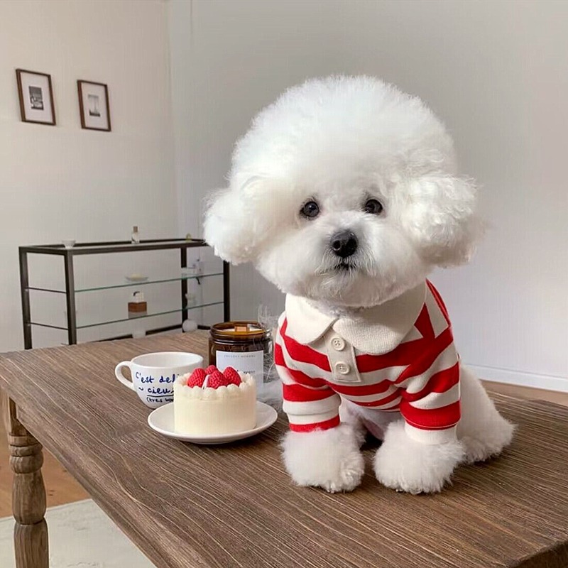 Perro de manga corta de verano delgada transpirable matcha casual a rayas de cuello redondo pet t-shirt estilo de peluche perro ropa de lucha de manga corta image 2