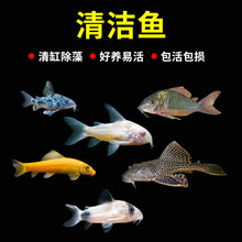 ������~���坍���坍�~��̦���S������~Ů�����~�~���坍���~