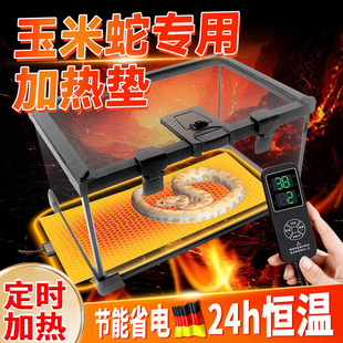 �����߼ӟ�|�����^���ԄӐa�������x��B�䎧�ؿ���׃�l����