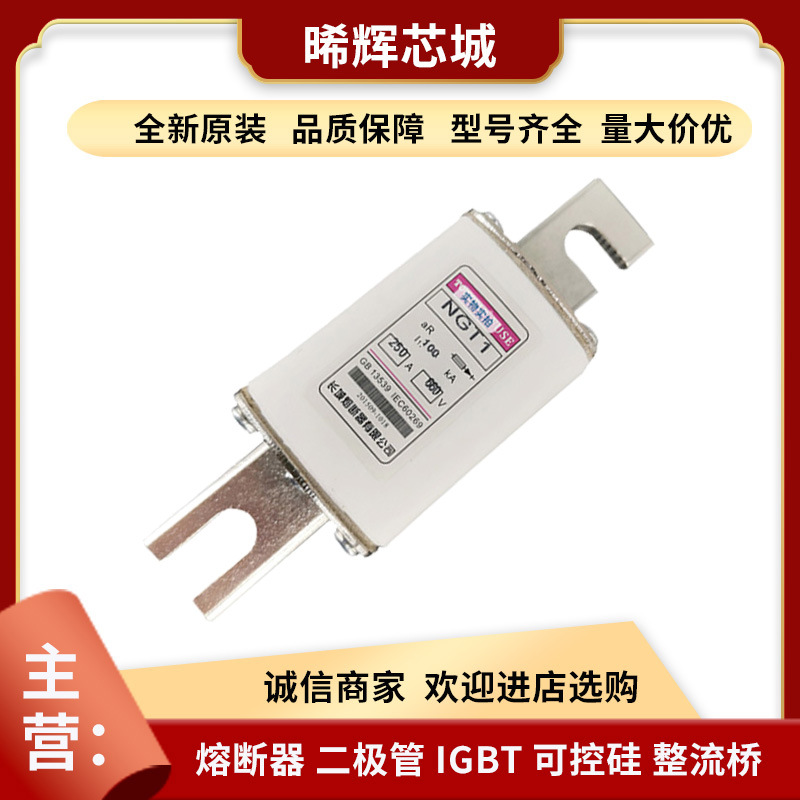NGT1 250A660V 全新原装电子元器件低压熔断器量大从优