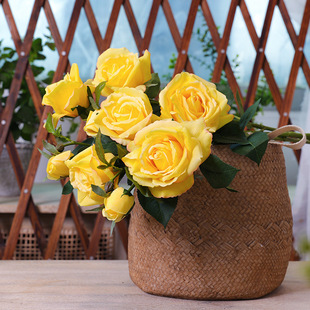 ����Ʒ���R�ƻ�ˇ72CM����3�^�ָб��񽡿�õ�廨 �Ҿ��bٻ�