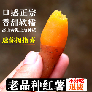 �F����논t�ķ����ع�����Ĵָ����С�t�����rС��������ָС����