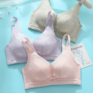 8864 gold #2024 spring and summer new simple real wear ~ ultra-thin hole breathable Cup wireless bra wholesale