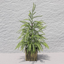 �L�ڬF؛ ���R�d�羳��PE�}�Q����60cm�������ֲ���}�Q���b�