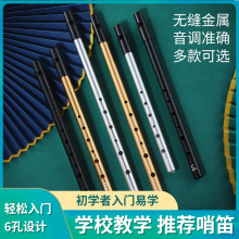 ✅新品跨境乐器爱尔兰哨笛C调D调哨笛小学生用竖笛金属笛子短笛乐