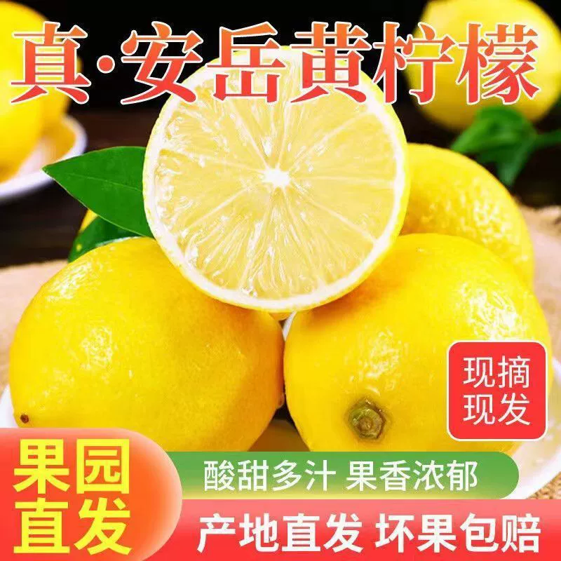 Сычуаньский желтый лимон Anyue с крупной кожурой, тонкий и сочный, свежие сезонные фрукты, прямая доставка с сада бергамота.