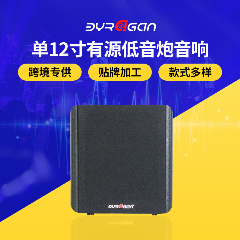 Manufacturer Supplies Single 12inch Subwoofer Active Bass Conference Audio Karaoke Speaker with High-Fidelity Sound Effect