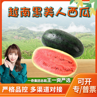 �����x��Խ���M�ں��������� ���l5/9�����r��Ϯ���ɳȿ����ˮ��