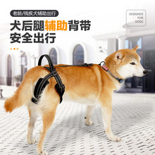 ���R�d���￵�͎��¿�������o��������Ȯ�܂�������������o��