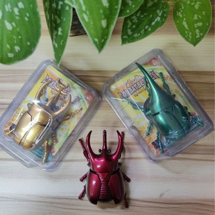 Creative Coil Chain Simulation Fighting Beetle Bees Ladybug Scarab Mono Fairy Insect Model Educational Toys