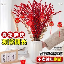 �y���滨�r֦�ɻ��[���҃�ˮ��Gֲ������t��Ͱ��ؔ������������