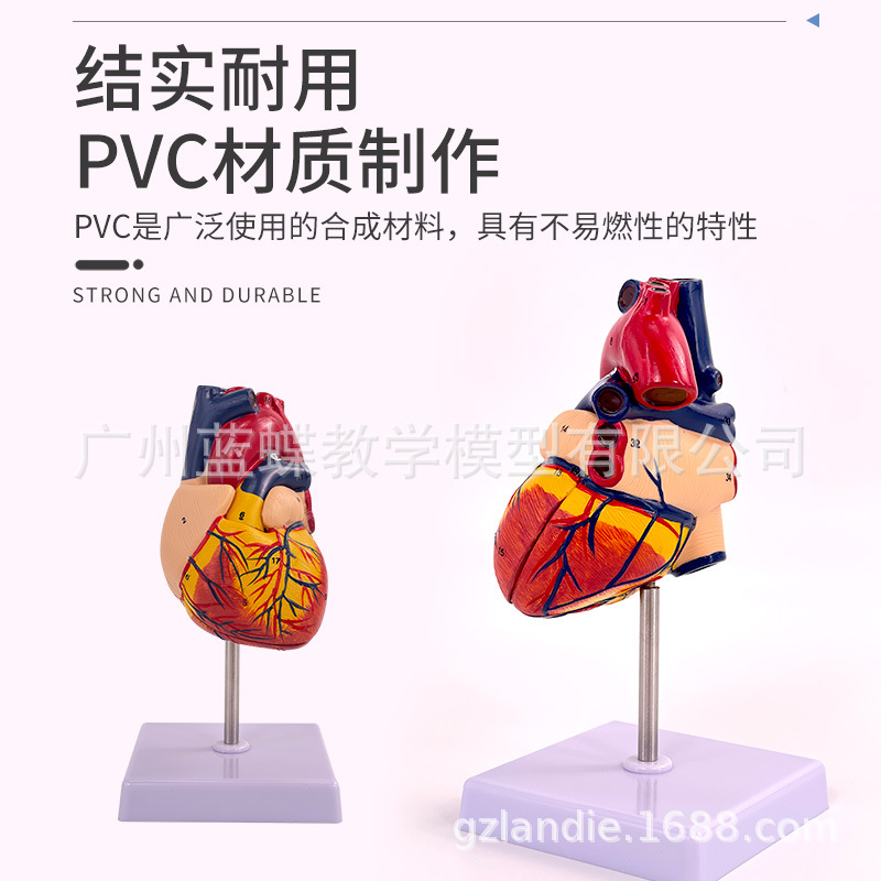 ��Ʒ1:1�����������ģ��B���ʳ�����ģ�Ͳ�жҽѧ��Ȼ�������ѧ