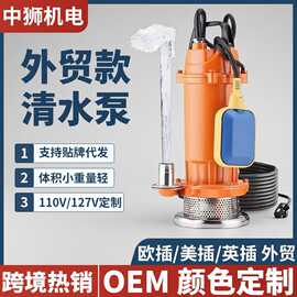 跨境外贸110V127V不锈钢潜水泵QDX清水泵小型高扬程抽水泵农用灌