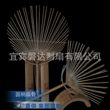 ȹǾVȹǰȹȹlQzȈAVF