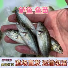 |~絭ˮBֳ|~شˮں|·ˮBֳ|~~