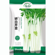 雪白实芹白芹菜种子种籽蔬菜孑冬季秋季高产南方四季籽种盆栽菜籽