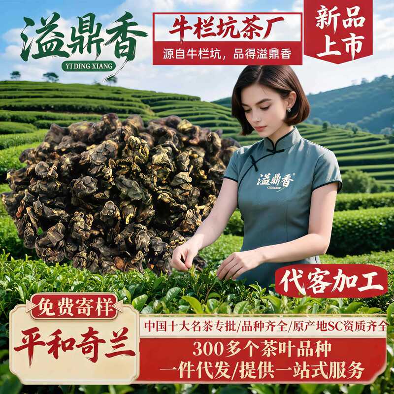 Yidingxiang White Bud Qilan New Tea Pinghe 500g Medium-Ripe Strong Aroma High Mountain Tea Traditional Handmade Fujian Oolong Tea Yidingxiang White Bud Qilan New Tea Pinghe 500g Medium-Ripe Strong Aroma High Mountain Tea Traditional Handmade Fujian Oolong Tea