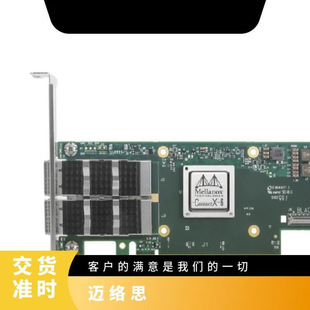 Mellanox Mellanox Network Card Mcx653106A-Ecat-Sp 100g Ib Dual Port