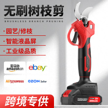 �羳늄���֦�������_�ڹ����֦�����늳س��ʽ�@�־G���޼��C