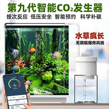 �~�׶�����̼�l����CO2�l�������bˮ�ݸ����b������