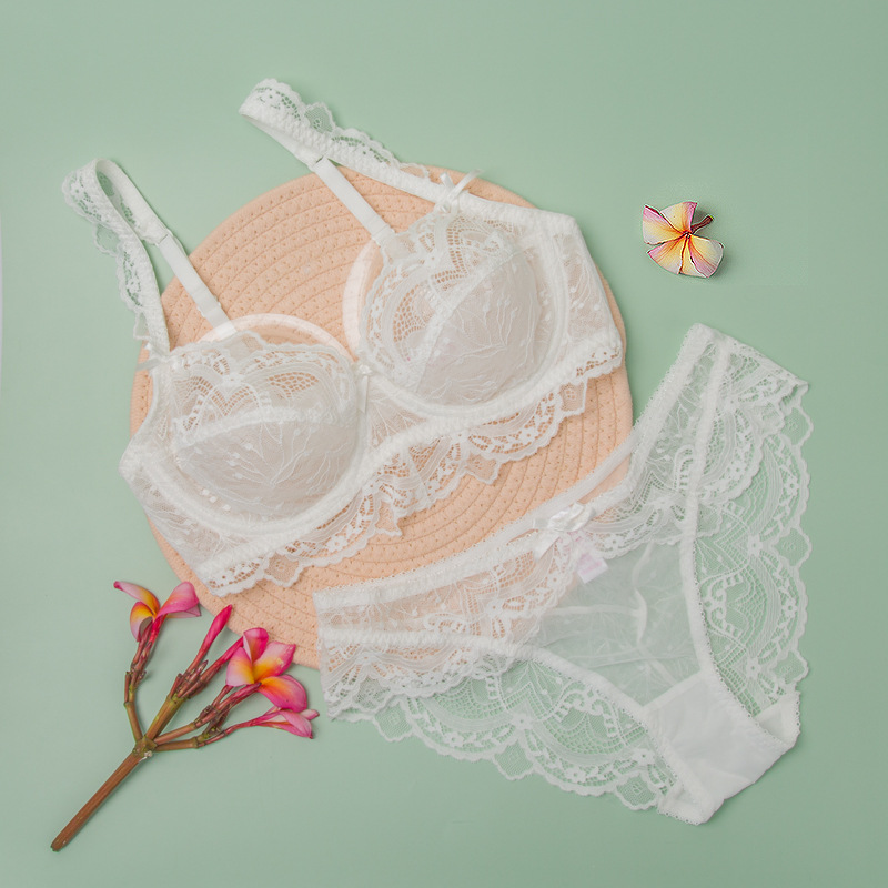 9241 Sujetador fruncido ligero personalizado conjunto de ropa interior al por mayor tentación de encaje sexy