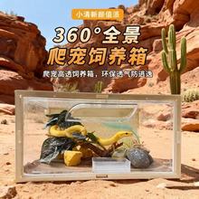 守宫造景一整套守宫饲养箱树蛙竖版收纳箱角蛙蜥蜴养蛇全套设备