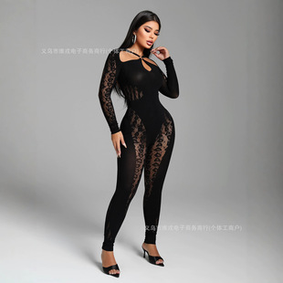 2026�W����羳���Q�⴩�U���B�w���������y�o�p�Ը��B�wѝ