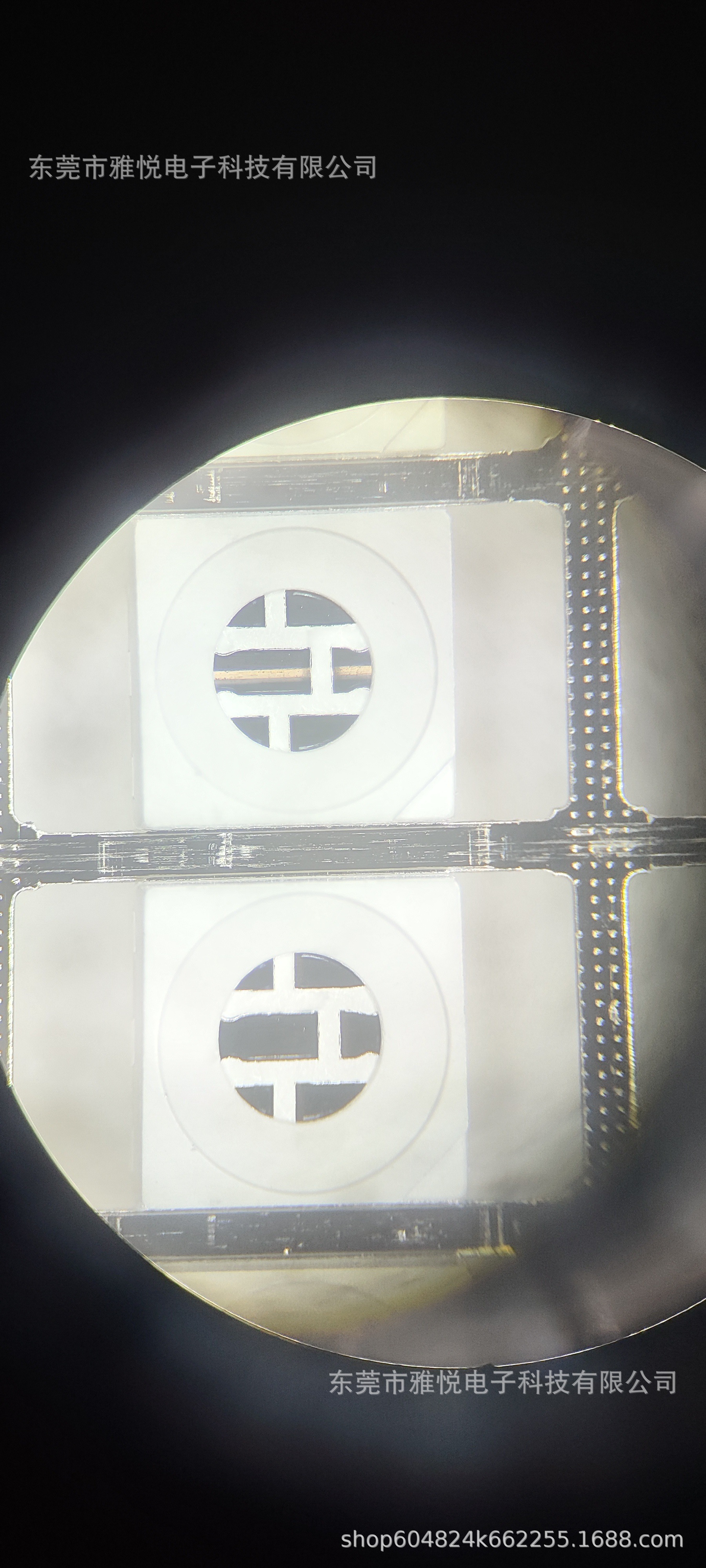 微信图片_20241016172857