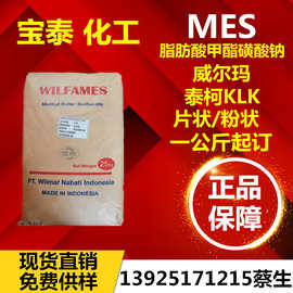 威尔玛脂肪酸甲酯磺酸钠MES 泰柯KLK片状粉状脂肪酸甲酯磺酸盐mes