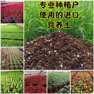 ͨ�àI�B����̿���|�ЙC���B�������Զ����辰�N��Ǥ������Nֲ��